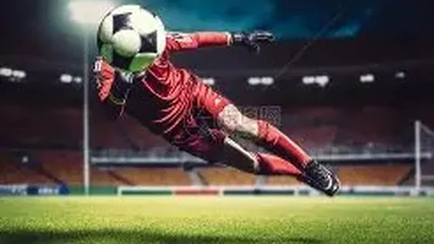 贵州“村际杯”中法青年足球友谊赛精彩呈现