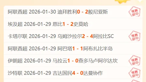 “2025年荣昌全国柔道积分赛盛大启幕”